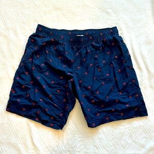 North Face Swim Trunks